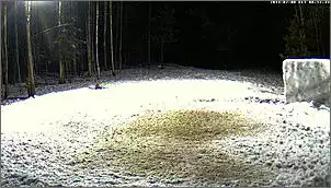 Klicken Sie auf die Grafik fr eine grere Ansicht

Name:	keinelch.jpg
Hits:	98
Gre:	108,2 KB
ID:	424717
