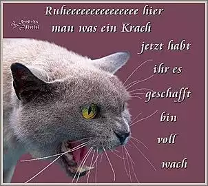 Klicken Sie auf die Grafik fr eine grere Ansicht

Name:	Ruhe hier.jpg
Hits:	183
Gre:	33,8 KB
ID:	426881