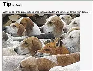 Klicken Sie auf die Grafik fr eine grere Ansicht

Name:	Tip.jpg
Hits:	86
Gre:	89,1 KB
ID:	427385