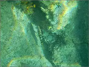 Klicken Sie auf die Grafik fr eine grere Ansicht

Name:	Kroatien 2012 Rainer (775).jpg
Hits:	149
Gre:	89,5 KB
ID:	428449
