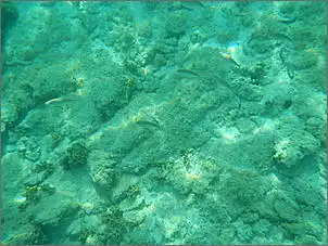 Klicken Sie auf die Grafik fr eine grere Ansicht

Name:	Kroatien 2012 Rainer (743).jpg
Hits:	146
Gre:	95,5 KB
ID:	428450