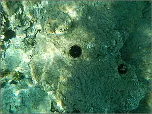 Klicken Sie auf die Grafik fr eine grere Ansicht

Name:	Kroatien 2012 Rainer (564).jpg
Hits:	140
Gre:	107,7 KB
ID:	428451