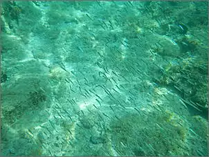 Klicken Sie auf die Grafik fr eine grere Ansicht

Name:	Kroatien 2012 Rainer (719).jpg
Hits:	146
Gre:	100,9 KB
ID:	428453