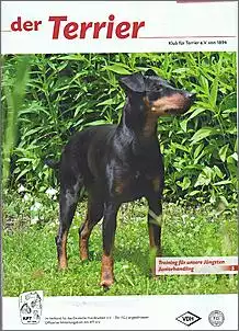 Klicken Sie auf die Grafik fr eine grere Ansicht

Name:	Zazou Terrier.jpg
Hits:	92
Gre:	106,4 KB
ID:	429334