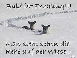 Klicken Sie auf die Grafik fr eine grere Ansicht

Name:	Bald ist Frhling.jpg
Hits:	64
Gre:	32,8 KB
ID:	431246