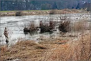 Klicken Sie auf die Grafik fr eine grere Ansicht

Name:	Weser.jpg
Hits:	76
Gre:	156,2 KB
ID:	435424