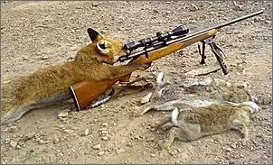 Klicken Sie auf die Grafik fr eine grere Ansicht

Name:	Ostern 2.jpg
Hits:	95
Gre:	38,4 KB
ID:	437660