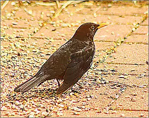 Klicken Sie auf die Grafik fr eine grere Ansicht

Name:	IMG_3880neu.jpg
Hits:	84
Gre:	129,9 KB
ID:	438808
