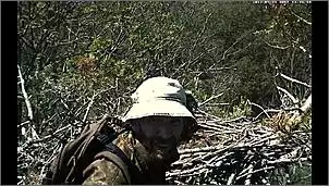 Klicken Sie auf die Grafik fr eine grere Ansicht

Name:	Schreiadler 3jpg.jpg
Hits:	145
Gre:	115,3 KB
ID:	454241