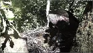 Klicken Sie auf die Grafik fr eine grere Ansicht

Name:	Schwarzstrche 19.jpg
Hits:	140
Gre:	128,3 KB
ID:	454245