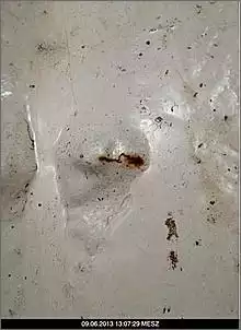 Klicken Sie auf die Grafik fr eine grere Ansicht

Name:	ImageUploadedByTapatalk1370989395.569285.jpg
Hits:	155
Gre:	35,2 KB
ID:	457893