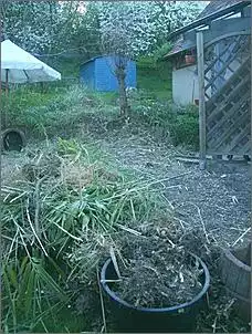 Klicken Sie auf die Grafik fr eine grere Ansicht

Name:	Bambus.jpg
Hits:	1224
Gre:	59,4 KB
ID:	45916