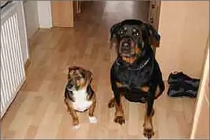 Klicken Sie auf die Grafik fr eine grere Ansicht

Name:	ImageUploadedByTapatalk1377674832.608369.jpg
Hits:	219
Gre:	6,4 KB
ID:	477068