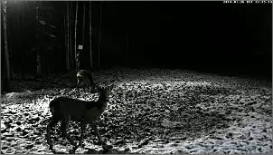 Klicken Sie auf die Grafik fr eine grere Ansicht

Name:	Rehe 2014 .1.jpg
Hits:	75
Gre:	73,7 KB
ID:	510305