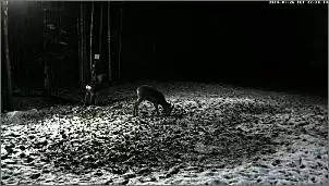 Klicken Sie auf die Grafik fr eine grere Ansicht

Name:	Rehe 2014 .2.jpg
Hits:	73
Gre:	79,1 KB
ID:	510306