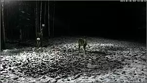 Klicken Sie auf die Grafik fr eine grere Ansicht

Name:	Rehe 2014 .3.jpg
Hits:	74
Gre:	80,8 KB
ID:	510307