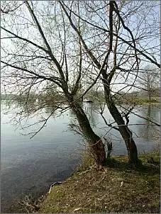 Klicken Sie auf die Grafik fr eine grere Ansicht

Name:	uploadfromtaptalk1399462260694.jpg
Hits:	153
Gre:	160,6 KB
ID:	535270