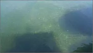 Klicken Sie auf die Grafik fr eine grere Ansicht

Name:	unterwasser02.jpg
Hits:	121
Gre:	35,5 KB
ID:	538197