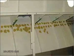 Klicken Sie auf die Grafik fr eine grere Ansicht

Name:	HPIM5471.jpg
Hits:	120
Gre:	78,4 KB
ID:	552183