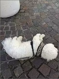 Klicken Sie auf die Grafik fr eine grere Ansicht

Name:	ImageUploadedByTapatalk1430562016.224257.jpg
Hits:	97
Gre:	87,6 KB
ID:	619785