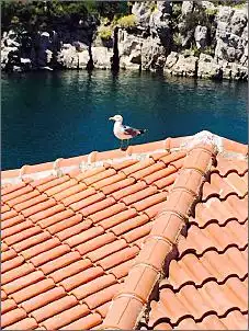 Klicken Sie auf die Grafik fr eine grere Ansicht

Name:	ImageUploadedByTapatalk1433398950.078177.jpg
Hits:	134
Gre:	89,3 KB
ID:	628535