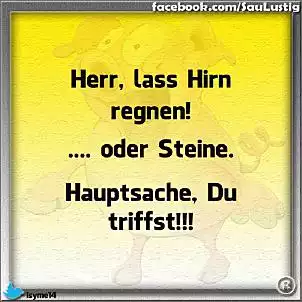 Klicken Sie auf die Grafik für eine größere Ansicht

Name:	02.jpg
Hits:	122
Größe:	48,0 KB
ID:	628645