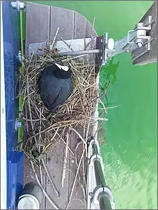 Klicken Sie auf die Grafik fr eine grere Ansicht

Name:	uploadfromtaptalk1441779226440.jpg
Hits:	440
Gre:	92,2 KB
ID:	653923
