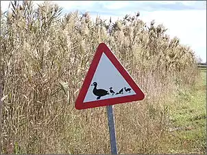 Klicken Sie auf die Grafik fr eine grere Ansicht

Name:	Verkehrsschild enten.jpg
Hits:	88
Gre:	200,2 KB
ID:	660989