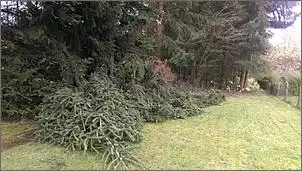 Klicken Sie auf die Grafik fr eine grere Ansicht

Name:	2015-11-30 (2).jpg
Hits:	170
Gre:	90,9 KB
ID:	670664