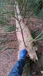 Klicken Sie auf die Grafik fr eine grere Ansicht

Name:	2015-11-30 (3).jpg
Hits:	173
Gre:	118,3 KB
ID:	670665