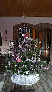 Klicken Sie auf die Grafik fr eine grere Ansicht

Name:	Weihnachtsbaum.jpg
Hits:	232
Gre:	66,6 KB
ID:	673453