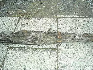 Klicken Sie auf die Grafik fr eine grere Ansicht

Name:	KICX0745.jpg
Hits:	601
Gre:	83,7 KB
ID:	68777