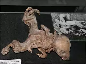 Klicken Sie auf die Grafik fr eine grere Ansicht

Name:	Tschernobyl 1.jpg
Hits:	56
Gre:	92,3 KB
ID:	694566