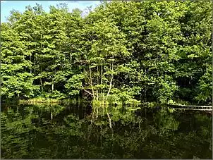 Klicken Sie auf die Grafik fr eine grere Ansicht

Name:	Image1466324886.259330.jpg
Hits:	145
Gre:	174,6 KB
ID:	705745