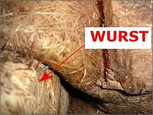 Klicken Sie auf die Grafik fr eine grere Ansicht

Name:	BugZumTank.jpg
Hits:	192
Gre:	45,0 KB
ID:	71369