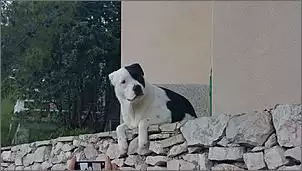 Klicken Sie auf die Grafik fr eine grere Ansicht

Name:	IMG-20160714-WA0006.jpg
Hits:	177
Gre:	66,3 KB
ID:	714891