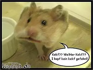 Klicken Sie auf die Grafik fr eine grere Ansicht

Name:	29099-keinen-keks-gesehen.jpg
Hits:	96
Gre:	48,9 KB
ID:	716245