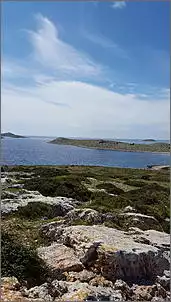 Klicken Sie auf die Grafik fr eine grere Ansicht

Name:	20160517_103610.jpg
Hits:	152
Gre:	64,6 KB
ID:	725553
