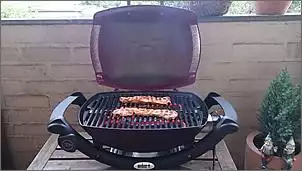 Klicken Sie auf die Grafik fr eine grere Ansicht

Name:	grill1.jpg
Hits:	302
Gre:	57,1 KB
ID:	731775