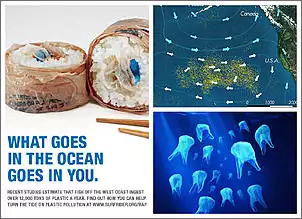 Klicken Sie auf die Grafik fr eine grere Ansicht

Name:	What goes in the Ocean.jpg
Hits:	114
Gre:	123,9 KB
ID:	775362