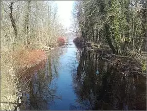 Klicken Sie auf die Grafik fr eine grere Ansicht

Name:	20180304_141701.jpg
Hits:	101
Gre:	150,3 KB
ID:	788415