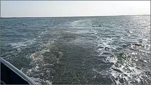 Klicken Sie auf die Grafik fr eine grere Ansicht

Name:	20180422_104543.jpg
Hits:	100
Gre:	63,3 KB
ID:	794585