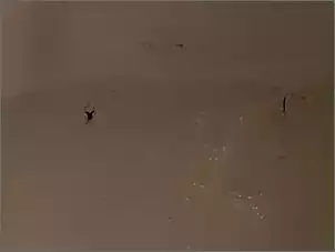 Klicken Sie auf die Grafik fr eine grere Ansicht

Name:	04_20180725_190439.jpg
Hits:	127
Gre:	14,1 KB
ID:	806917