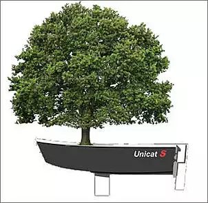 Klicken Sie auf die Grafik fr eine grere Ansicht

Name:	Unicat-Sail Baum.jpg
Hits:	194
Gre:	57,9 KB
ID:	808847