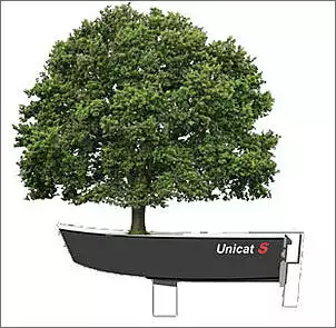 Klicken Sie auf die Grafik fr eine grere Ansicht

Name:	Unicat-Sail Baum.jpg
Hits:	195
Gre:	57,9 KB
ID:	808847