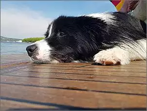 Klicken Sie auf die Grafik fr eine grere Ansicht

Name:	20180825_145802.jpg
Hits:	124
Gre:	84,0 KB
ID:	842990