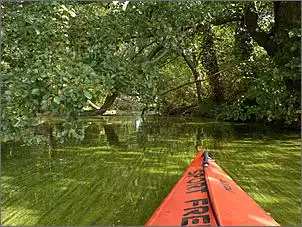 Klicken Sie auf die Grafik fr eine grere Ansicht

Name:	wublitz (134).jpg
Hits:	104
Gre:	144,8 KB
ID:	856015