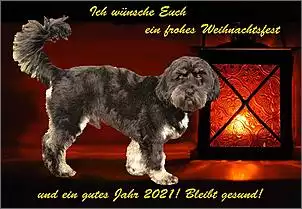 Klicken Sie auf die Grafik fr eine grere Ansicht

Name:	Weihnachtskarte_Lou_BF2020.jpg
Hits:	803
Gre:	119,5 KB
ID:	905695