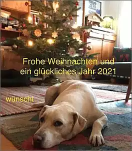 Klicken Sie auf die Grafik fr eine grere Ansicht

Name:	Weihnachten2.jpg
Hits:	78
Gre:	73,1 KB
ID:	905989