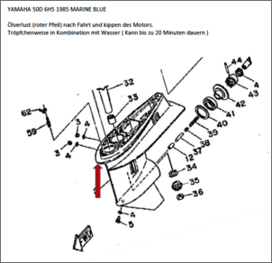 Watlsuz Z¨¹Ndspule f¨¹r Boote f¨¹r 40 PS 50 PS 2 Takt 3 Zylinder Au?En Bord  Motor 6H5-85570 Boots Zubeh?R Marine : : Automotive